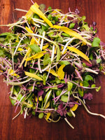 Mélange salade bistro
